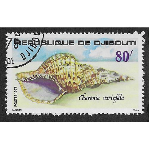 DJI 1978 80f 'SEASHELLS ' FINE USED (54-925)
