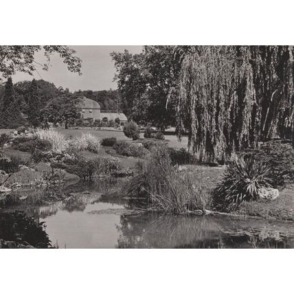 Jardin Botanique Geneve Swiss 1950s Real Photo Postcard