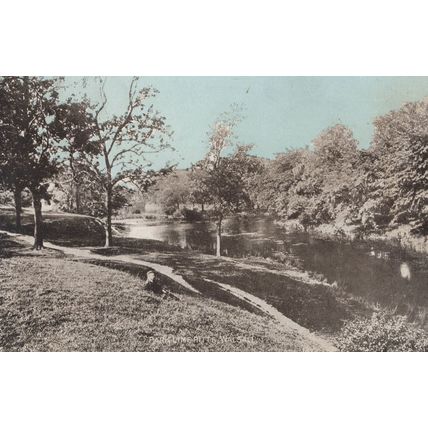 Schoolboy On Park Lime Pitts Walsall Dainty Series Old Postcard