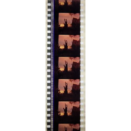 VAMPIRES. Pk MTP - A002b. 1 STRIP OF 5 - 35MM FILM CELLS. MTP