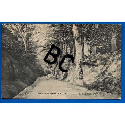 Postcard Blackwell Hollow East Grinstead Nr Crawley Copthorne Lingfield 1906 P/M