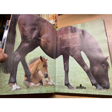 1981 "ENCYCLOPEDIA OF THE HORSE" HEAVY LARGE ILLUSTRATED HARDBACK BOOK (P7)