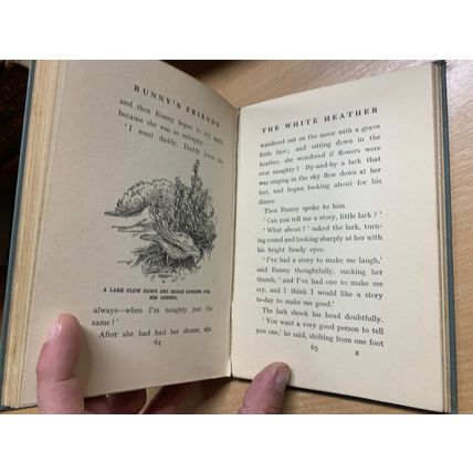 RARE* c1920s AMY LE FEUVRE "BUNNY'S FRIENDS" FICTION ILLUSTRATED BOOK (P3)