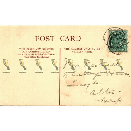 Houses Of Parliament, London, 361 Woodbury Postcard, 1906