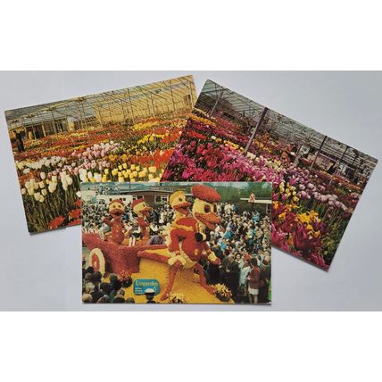 Postcards Skegness multiviews. Job lot Multiview postcards of Skegness. Good c