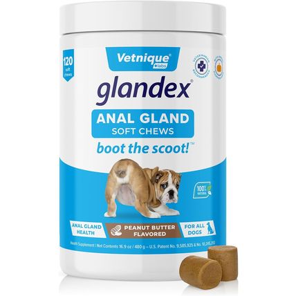 Vetnique Glandex Anal Gland Soft Chew Treats with Pumpkin for Dogs Digestive Enz
