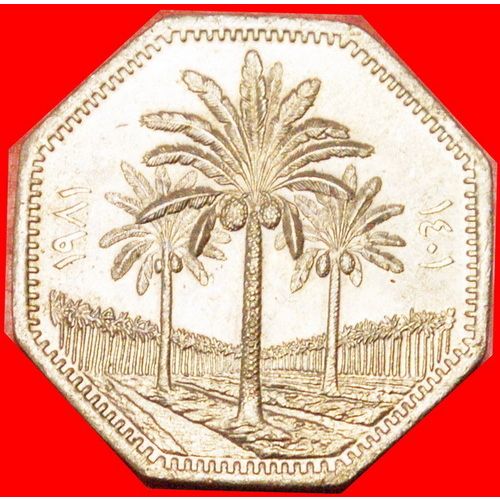 CANADA: IRAQ ★ 250 FILS 1401-1981! LOW START ★ NO RESERVE!