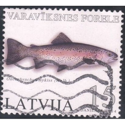 Latvia 2004 - SG620 - 15s multi - Oncrhynchus mykiss - used