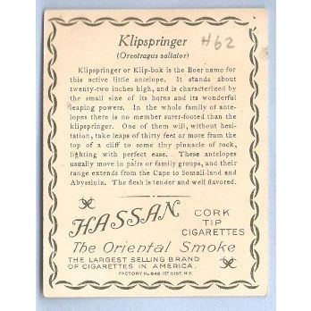Tobacco Card ~ Company: American Tobacco Company Brand: Hassan Cork Tip Ci~62