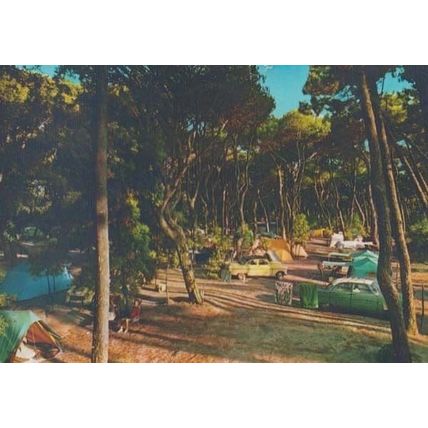 Wiareggio Camping Holiday Camp Italy Italian Postcard