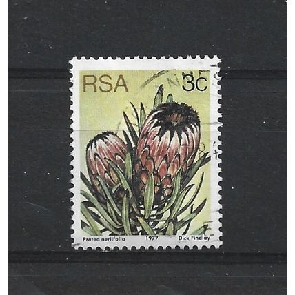 SouthAfrica.SG416 3c Protea Neriifolia.Fine Used.Sep25e