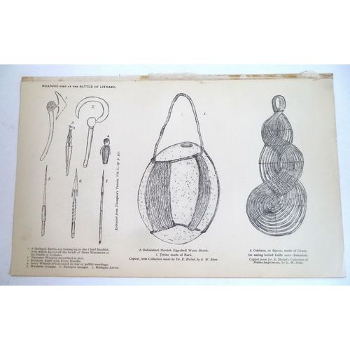 Antique Engraving 1905 print African Baltapin Weapons Tribal Art Lithako Battle