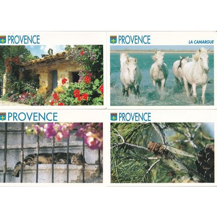 Provence Giant Bee Wasp Cat Sleeping Horses 4x Postcard s