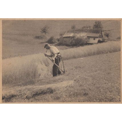 Berlin German Farmer Smoking Pipe in Hay Old Postcard
