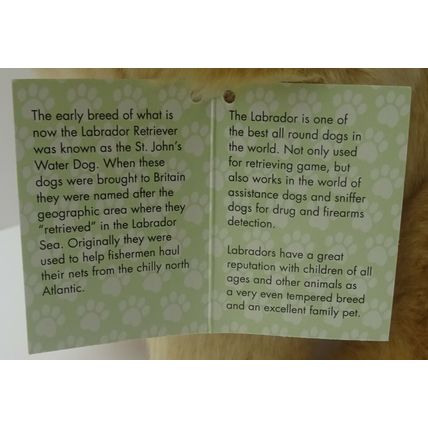 Golden Labrador toy dog, as it is, personalised, gift wrapped 3 choices