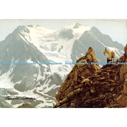 D025290 Pralognan. La Grande Casse. Bernard Grange. 1985