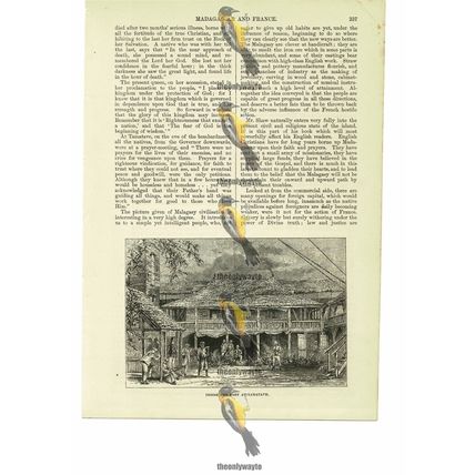 Tamatave, Inside The Fort, Madagascar, Africa, Book Illustration (Print), 1885