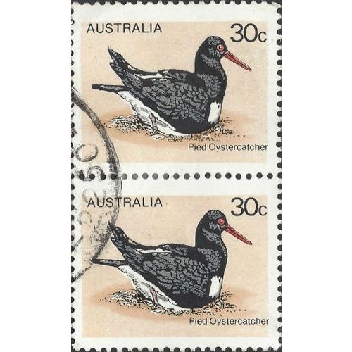 AUSTRALIA, BIRD, Pied Oystercatcher, light brown 1978, 30c [Pair]