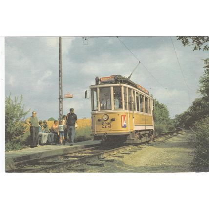 Artist Drawn Sporvejsmuseet Skjoldenaesholm Tram Postcard (B1359)