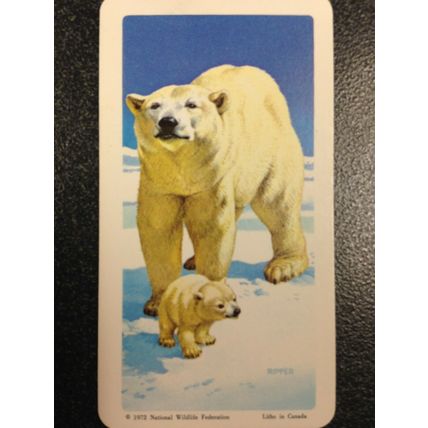 Red Rose Tea Card - Blue Ribbon Animals & Young Series 18 - Set of 18 cards