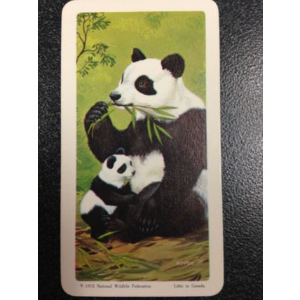 Red Rose Tea Card - Blue Ribbon Animals & Young Series 18 - Set of 18 cards