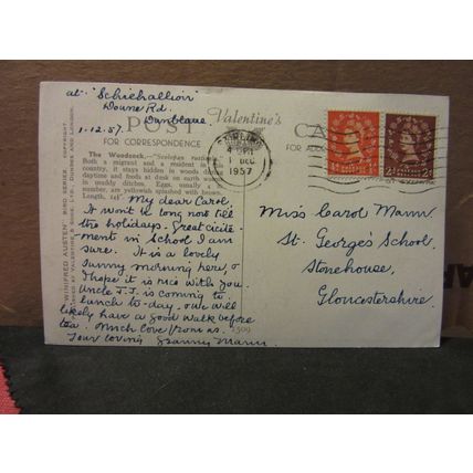 WOODCOCK by Winifred Austen used postcard by Valentine art bird series 1957 pm #