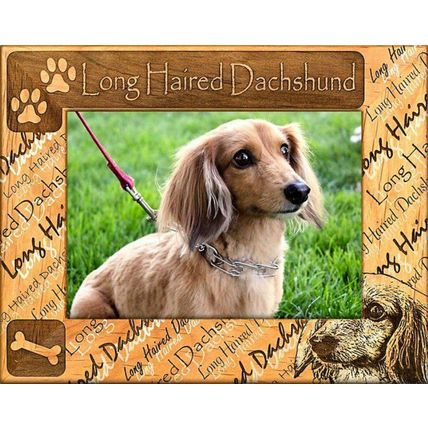 Long Haired Dachshund Laser Engraved Wood Picture Frame (5 x 7)