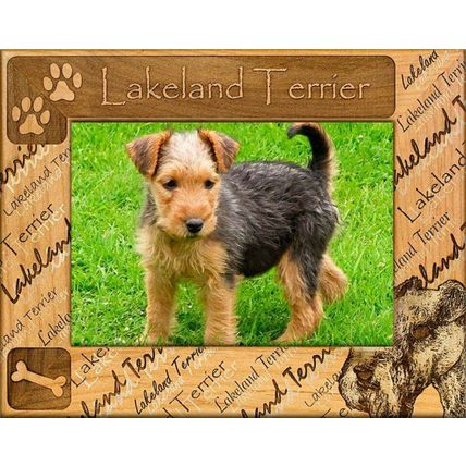 Lakeland Terrier Laser Engraved Wood Picture Frame (5 x 7)