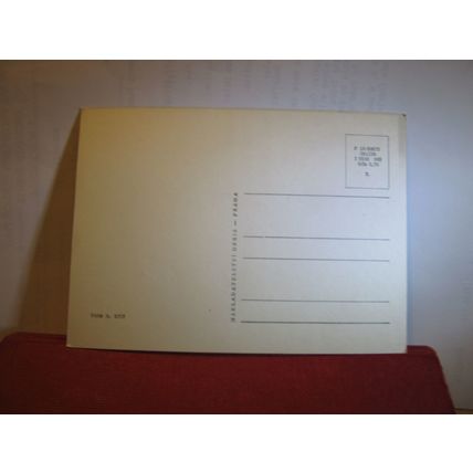 WHITE DAISY FLOWERS unused postcard Czech Republic =