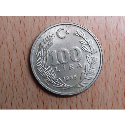 Turkey 1988 100 Lira Coin