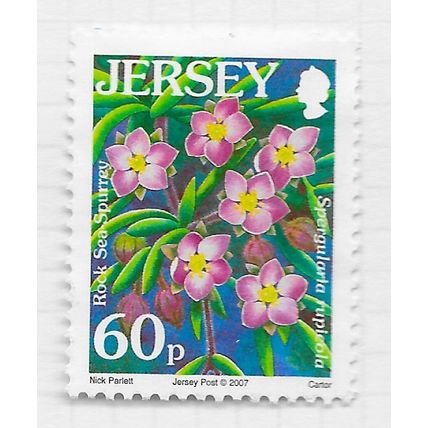 JERSEY 2007 FLOWERS ROCK SEA SPURREY WILD 60p USED