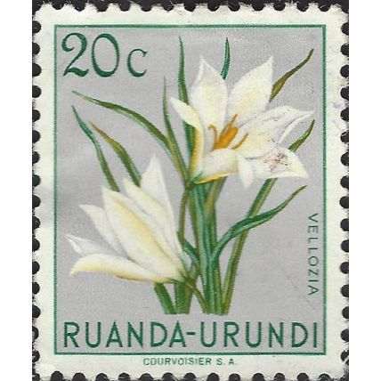 RUANDA URUNDI, FLOWER, Vellozia, grey 1953, 20c