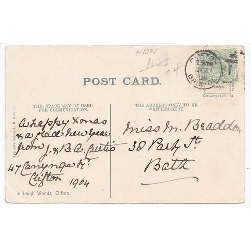 In Leigh Woods Clifton Bristol Avonvale Series Postcard 1904