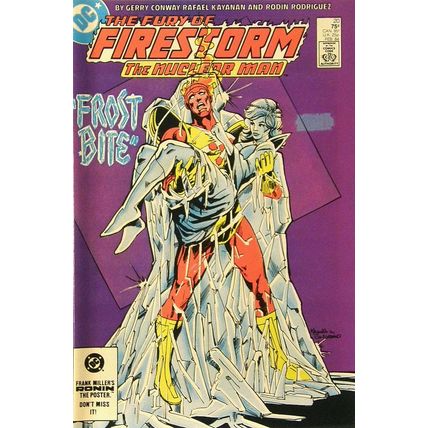 Firestorm (Vol 2) The Fury of # 020 FN+ ORIG US COMICS
