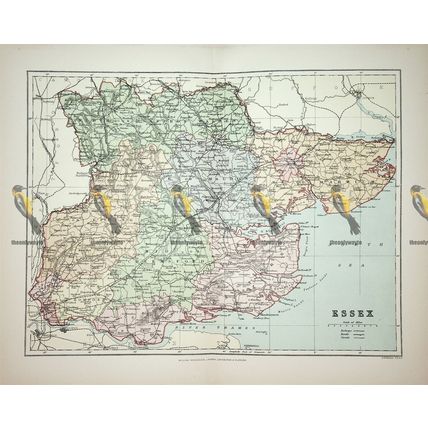 Essex, England, Map, Book Illustration, 1895