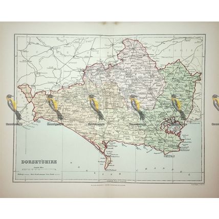 Dorsetshire, England, Map, Book Illustration, 1895