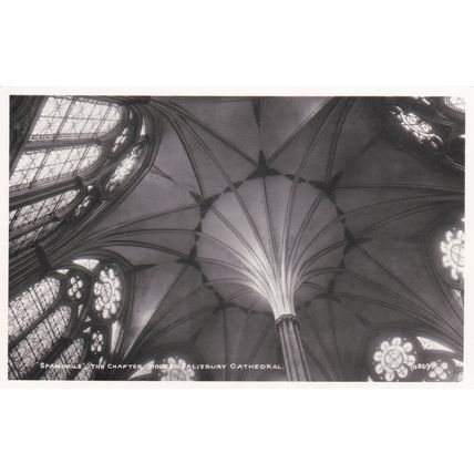 ED 257 SALISBURY CATHEDRAL -THE CHATER HOUSE -SPANDRILLS. RP POSTCARD