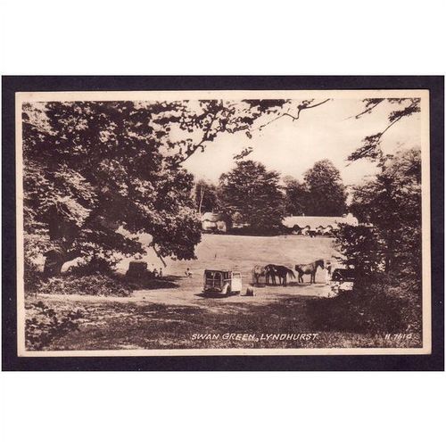 SWAN GREEN, LYNDHURST, HAMPSHIRE. SEPIATYPE - NICE PHOTO- UNUSED