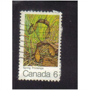 1971 canada the maple leaf in spring 6c f/u sg677