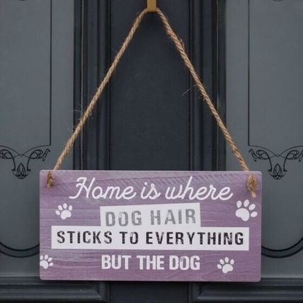 Hanging Metal Sign Pet Fun 'Dog Hair Sticks to Everything' Rope Handle Home