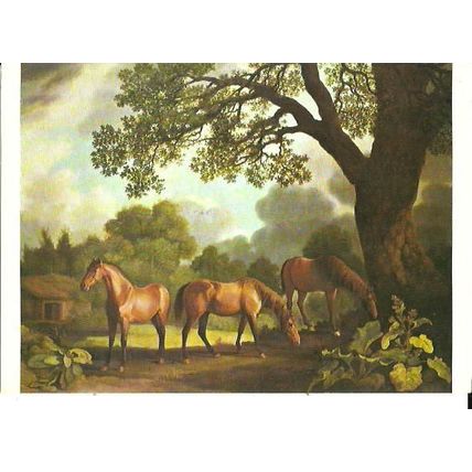 Art GEORGE STUBBS Colt & Two Chestnut Horses Postcard (Medici 951)