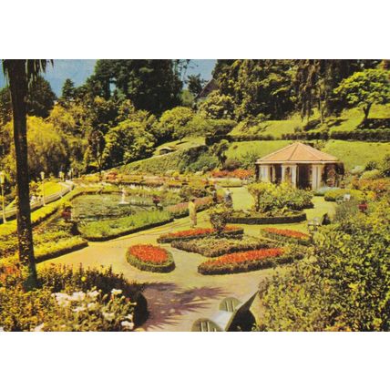 Prince Stores Advertising Card Bombay India Postcard unused VGC