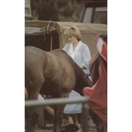 Princess Diana With Horse Cattle Can You Reach It Royal Postcard