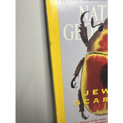 National Geographic Magazines February 2001 Jewel Scarabs - Vintage Collectable