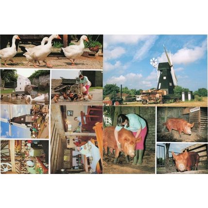 Sarre Windmill Kent 4x Farming Tea Rooms Restaurant Postcard s