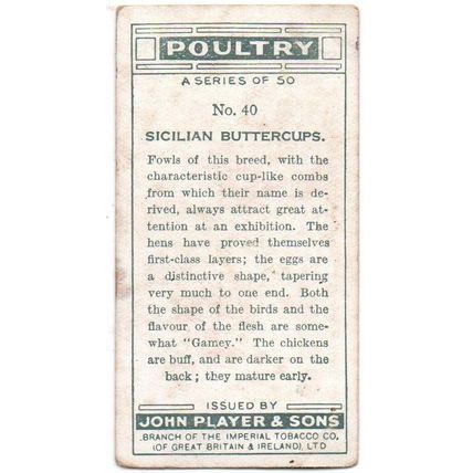 PLAYER'S CIGARETTE CARD POULTRY 1931 No.40. SICILIAN BUTTERCUPS