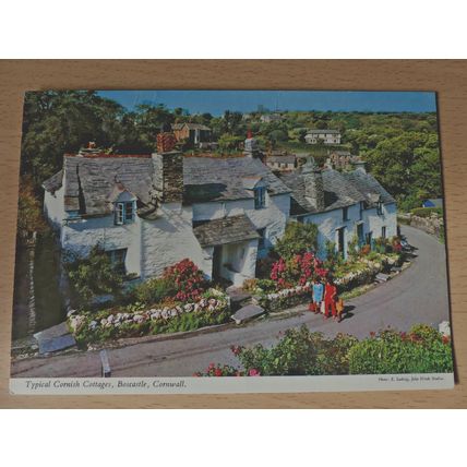 Postcard: Typical Cornish Cottages, Boscastle, Cornwall (John Hinde). New.