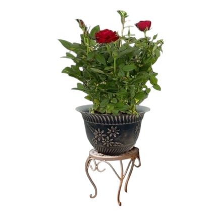 Pack of 3 Plastic Plant 11.2" Pots Indoor/Outdoor with Drainage Holes Flower New