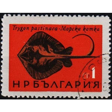 Bulgaria. 1965 1s S.G.1530 Used
