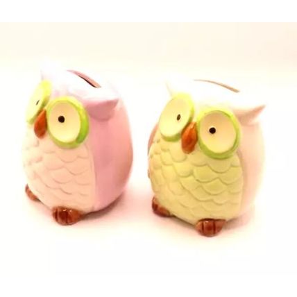 Pastel Shades Owl Moneyboxes Ceramic 9 CM Gift Home Decor Savings Money Notes